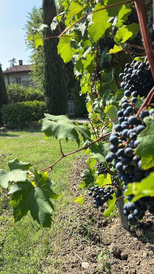 Gabriele Country House Desenzano del Garda Exterior foto