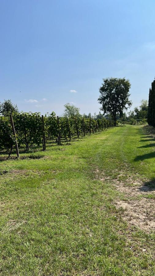Gabriele Country House Desenzano del Garda Exterior foto
